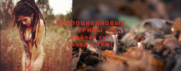 ПСИЛОЦИБИНОВЫЕ ГРИБЫ Балабаново