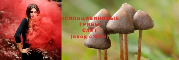 каннабис Баксан