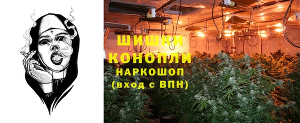 гидра Балахна