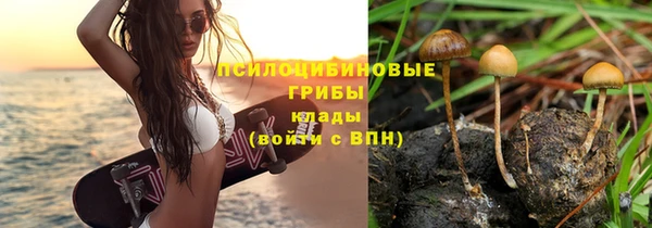 гидра Балахна