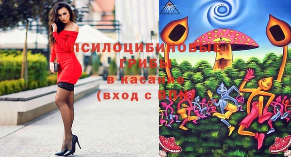 гидра Балахна