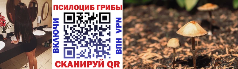 МЕГА рабочий сайт  Свирск  Псилоцибиновые грибы мицелий  купить наркоту 